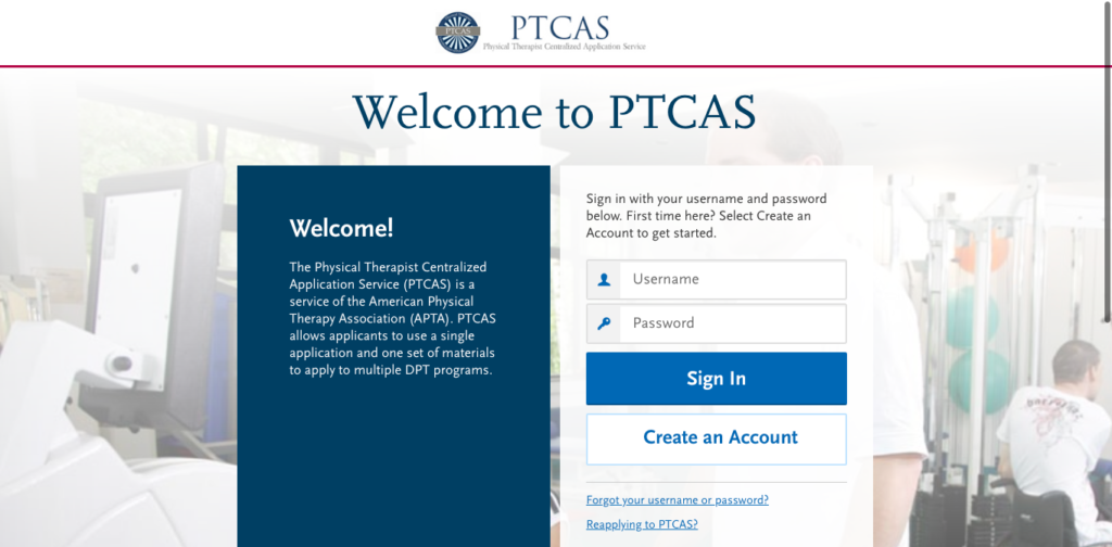 PTCAS 101 - The Curly Clinician - Physical Therapy + Lifestyle